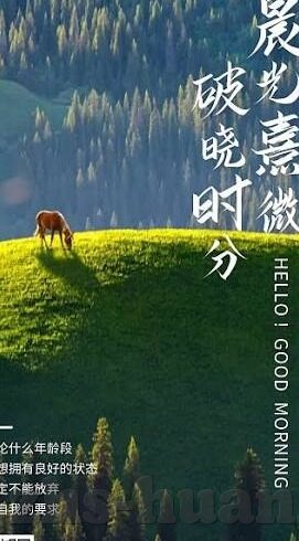 前几场足球比分-前几场足球比分的背后，战术、状态与命运的交织